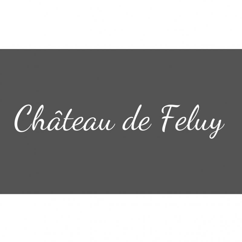 Château Fort De Feluy